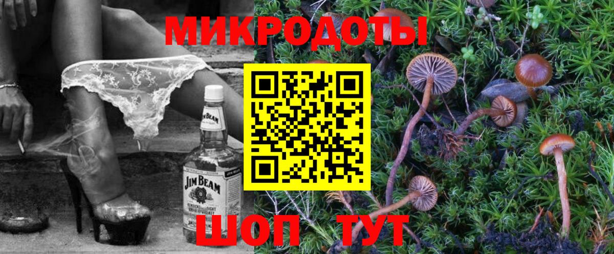 Галлюциногенные грибы Psilocybine cubensis Батайск