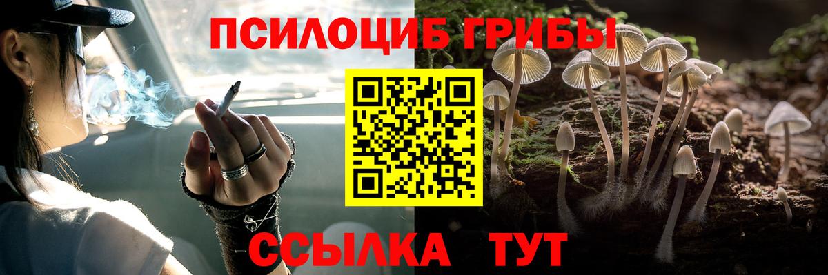 цена наркотик  Псилоцибиновые грибы мухоморы  Вход с VPN  Галлюциногенные грибы Psilocybine cubensis  Батайск 